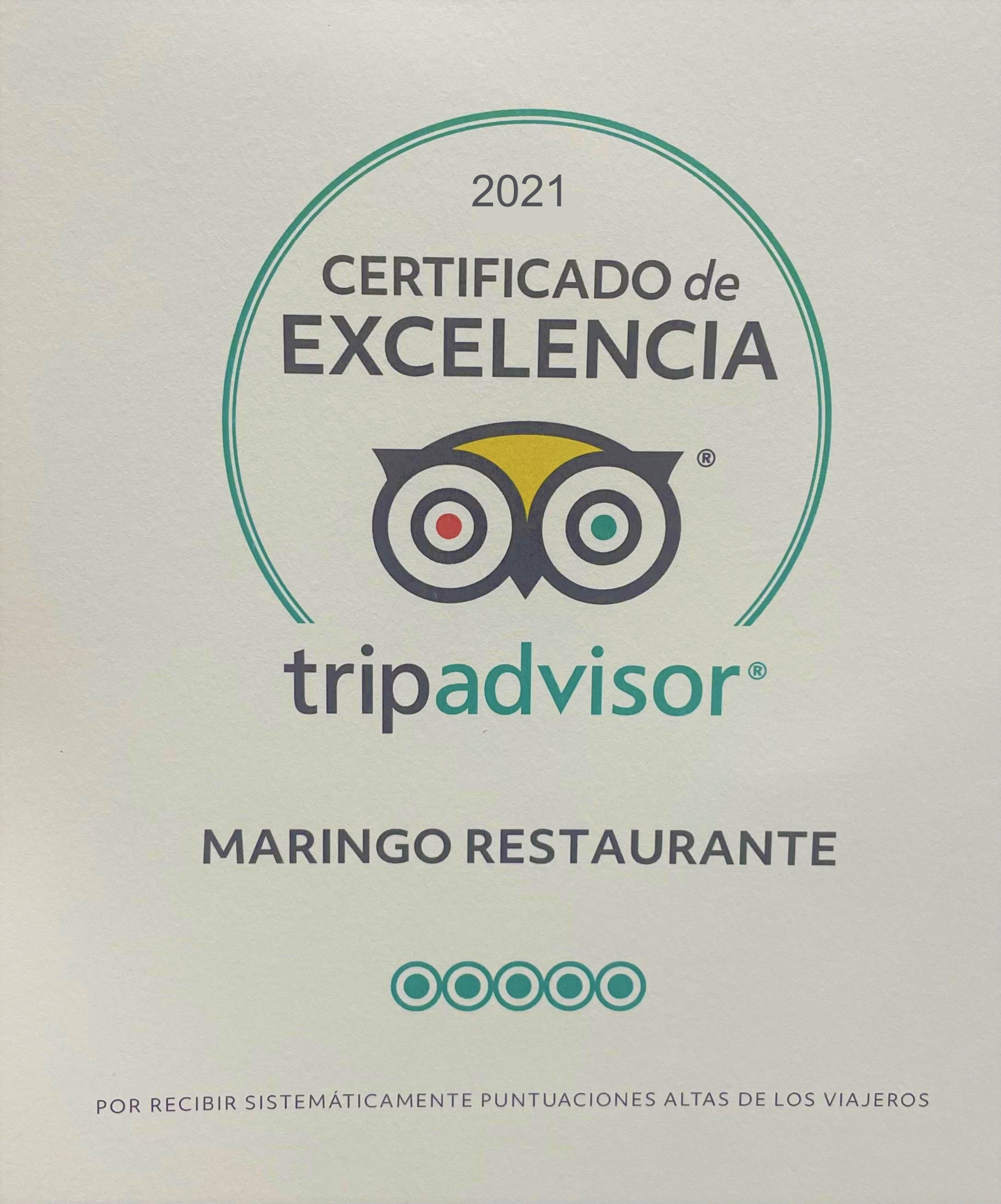 Premio 11