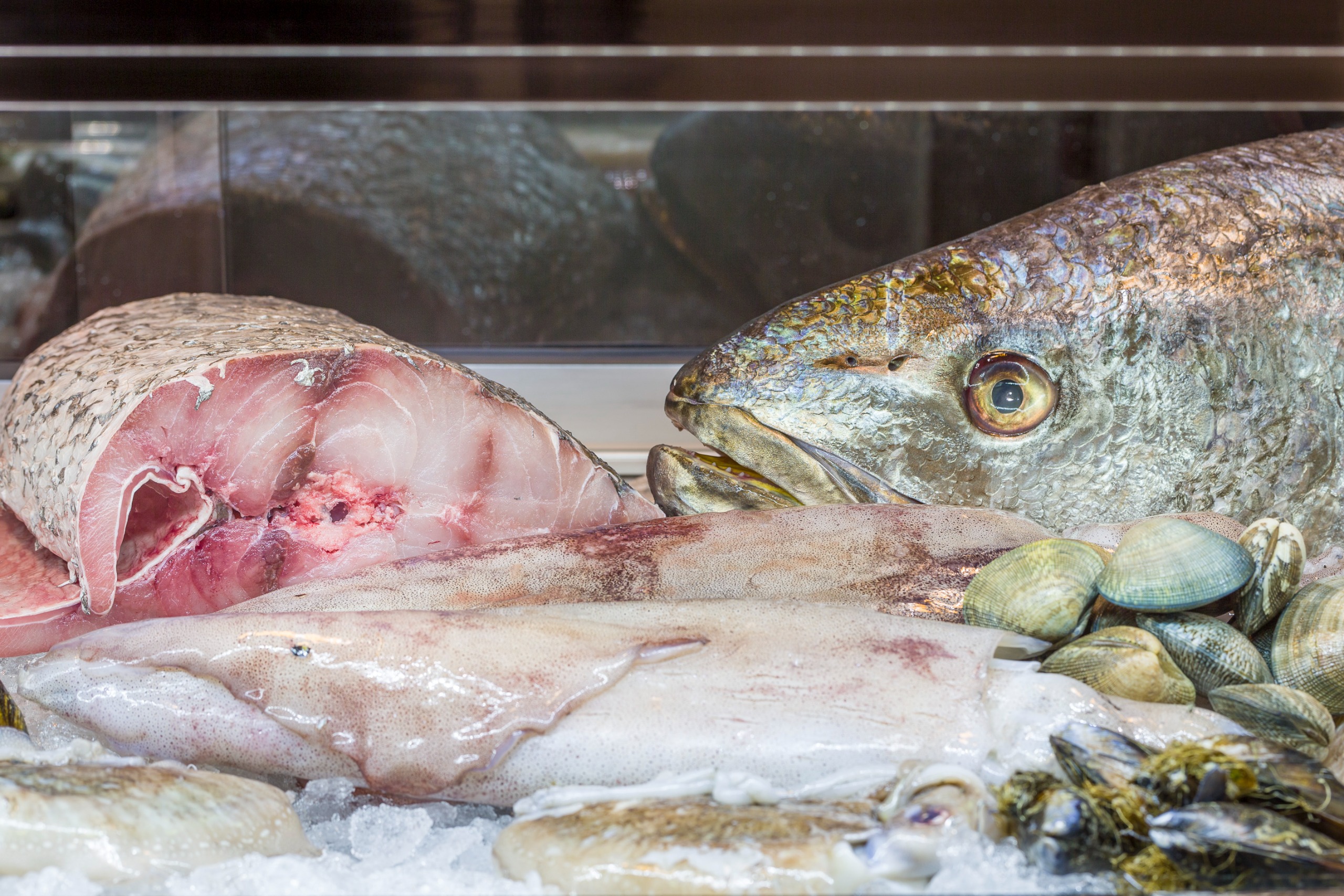 Pescados y Mariscos